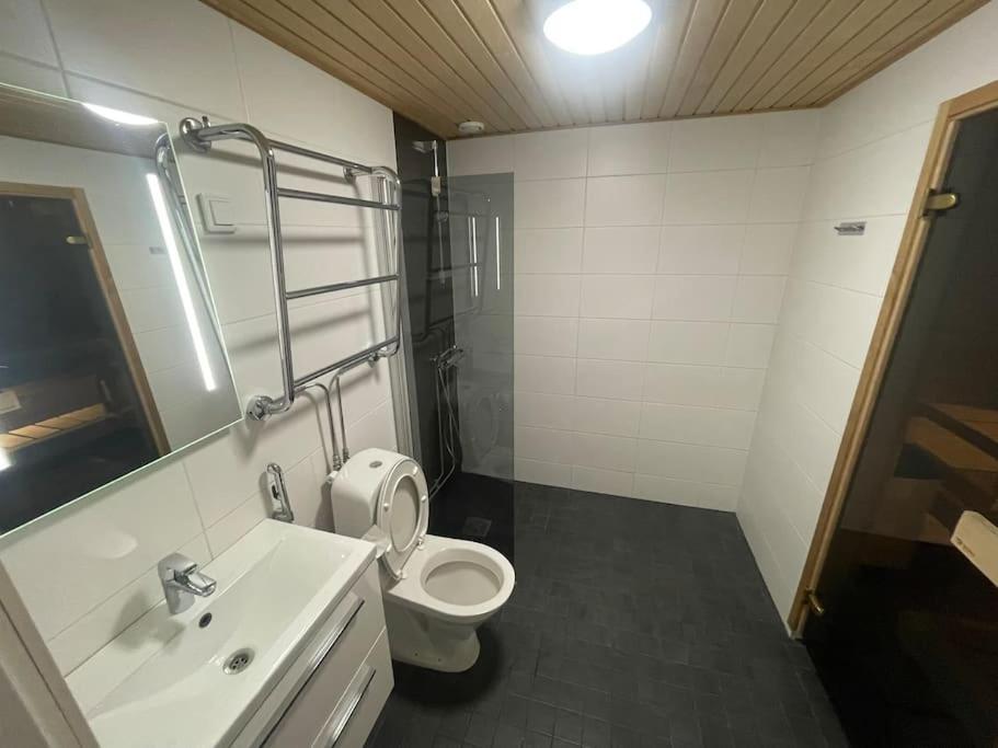 Tilava Kaksio, Saunalla Ja Saehkoeauton Latauksella. Tampere Extérieur photo
